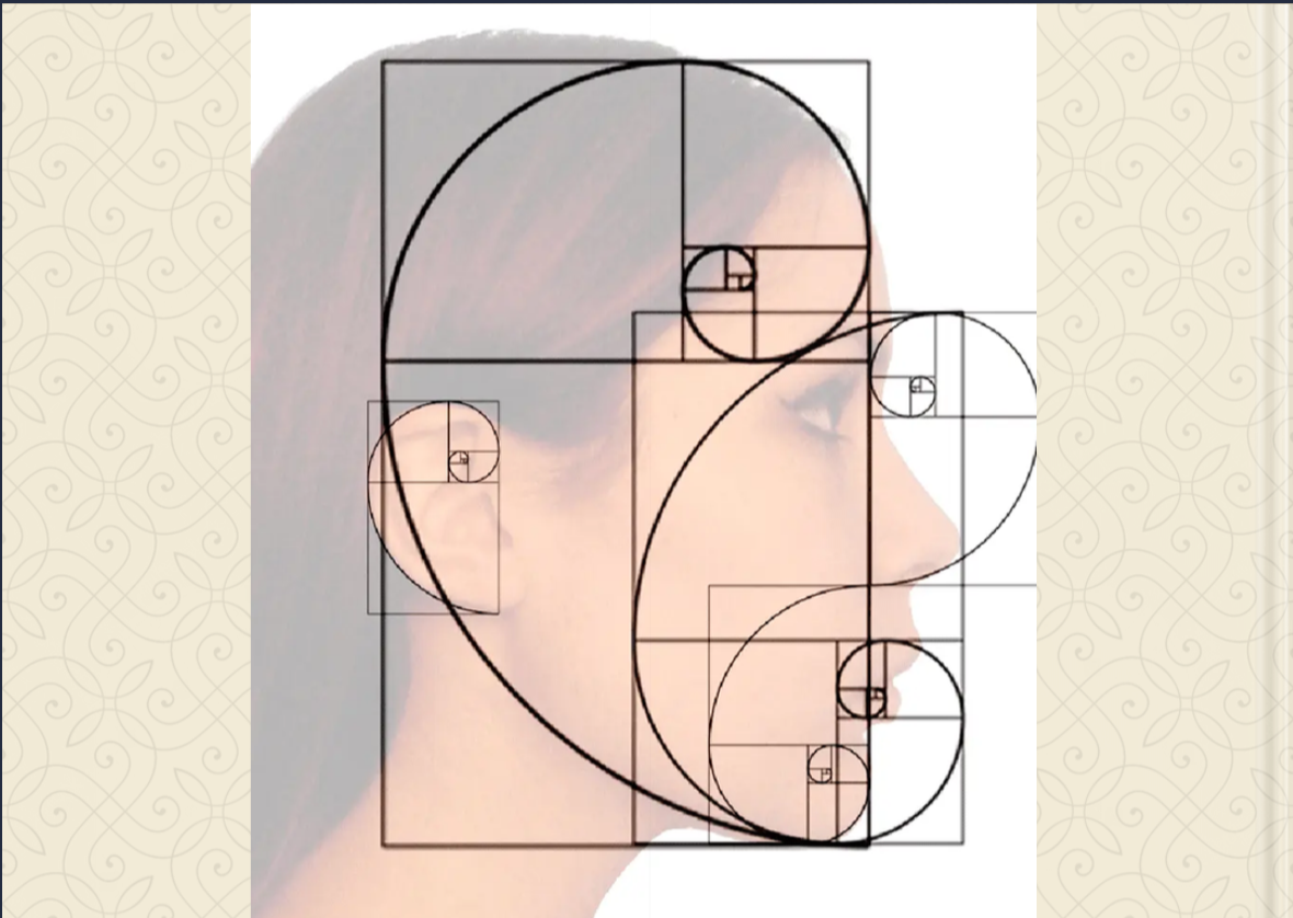 Fibonacci erwacht am NTG zum Leben: Ein digitales Buch voller Ideen, Farben und Inspiration der Klasse 8g